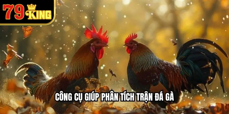 Công cụ giúp phân tích trận đá gà